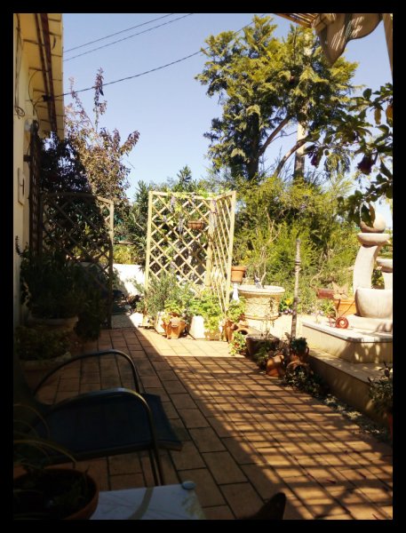 Trellis 18 Mar 21.jpg