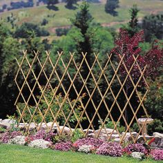 -trellis-fence-garden-fences.jpg