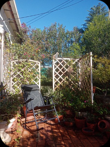 Trellis KKK 5 Jan 24.jpg