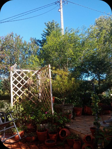 Trellis KKK2 5 Jan 24(2).jpg