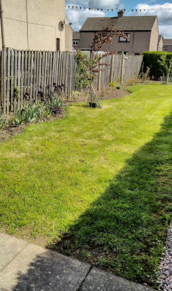 Troublesome grass 11-5-22.jpg