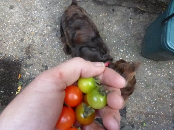 tumblers1 - Copy.jpg