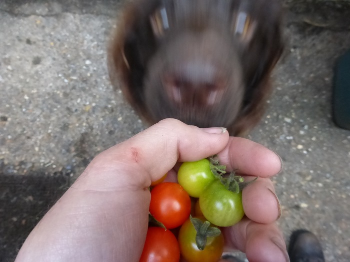 tumblers2 - Copy.jpg