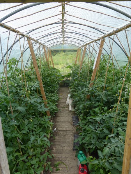 tunnel toms 5 Jul 2015.jpg