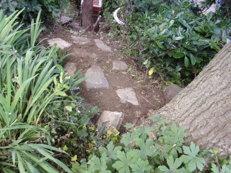 Typical day._001.JPG