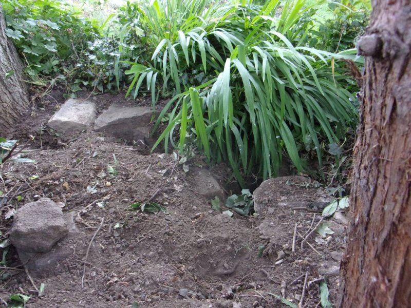 Typical day._003.JPG