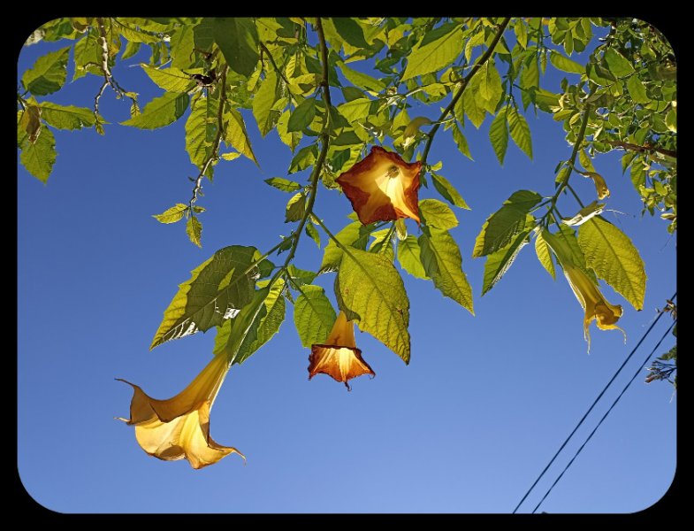 Under the Brug 5 Nov 21.jpg