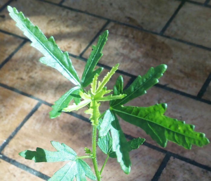 Unknown1 28 Jan(1).jpg