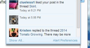 Untitled picture.png