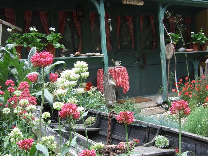 upeksaraja shinglesea 007 reduced.JPG