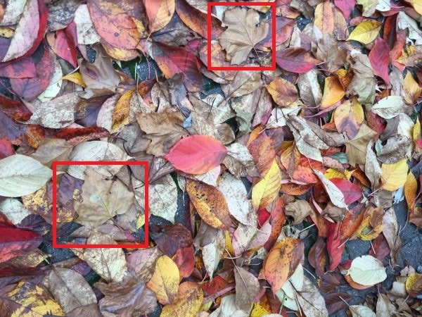 upload_2021-11-16_4-33-58 (1).jpg