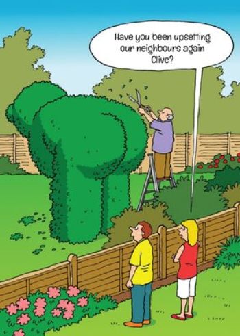 Upset the neighbours.jpg