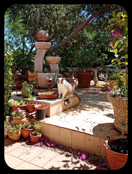 Van by Toby 27 May 22(1).jpg