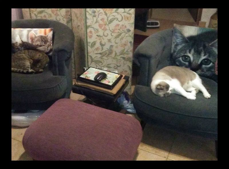 Van & Munch 18 Dec 16.jpg