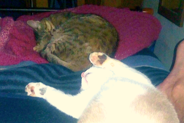 Van & Munch 24 May 20.png