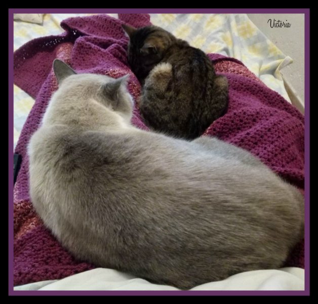 Van & Munch 25 Oct 19.jpg