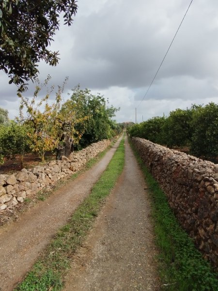 Van on Lane1 11 Oct 25.jpg