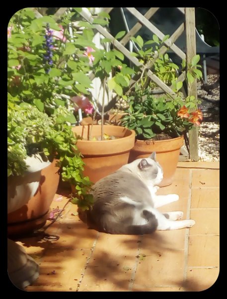 Van Sunning 2 Oct 21.jpg