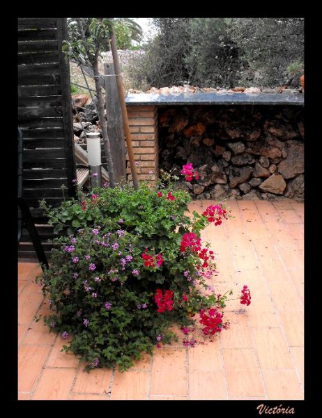 Verbena Kitchen 23 May 09.JPG