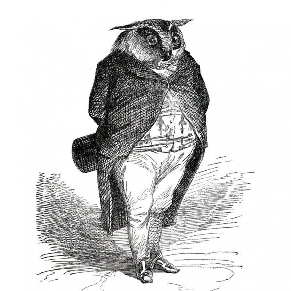 Victorian Owl.jpg
