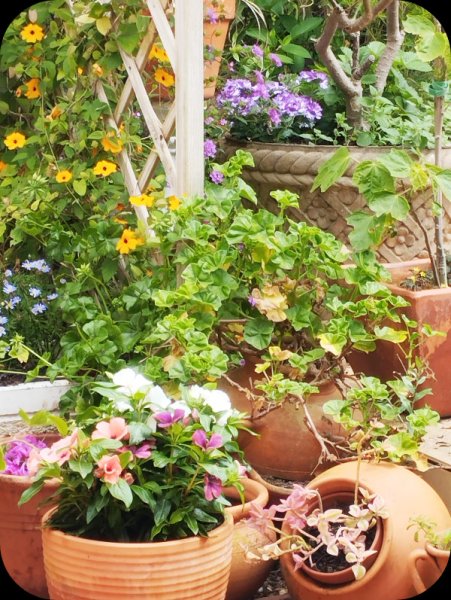 Vina & Vernena 21 Ar 26.jpg