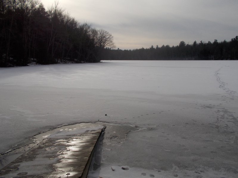 Waiting for spring.jpg