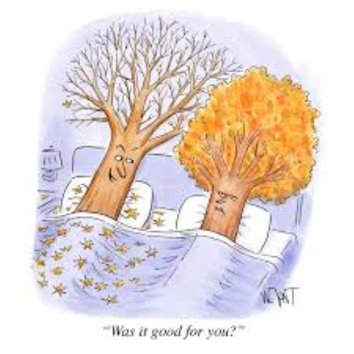 Was it good for you.jpg