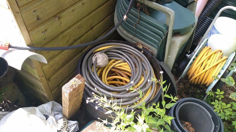 Wasps Nest in Hose Bin 01.jpg