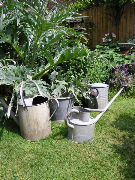 watering cans 2.JPG