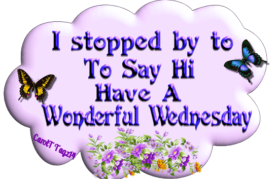 wed-I-Stopped-By-To-Say-Hi-Have-A-Wonderful-Wednesday.png