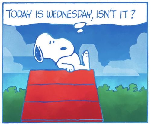 Wednesday.jpg