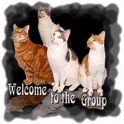 Welcome Cats.jpeg