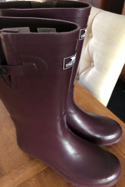 wellies.jpg