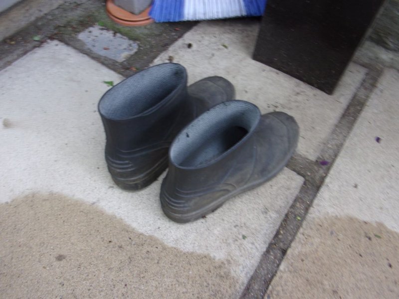 Wellies_001.JPG
