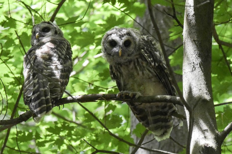 What cha lookin at.jpg