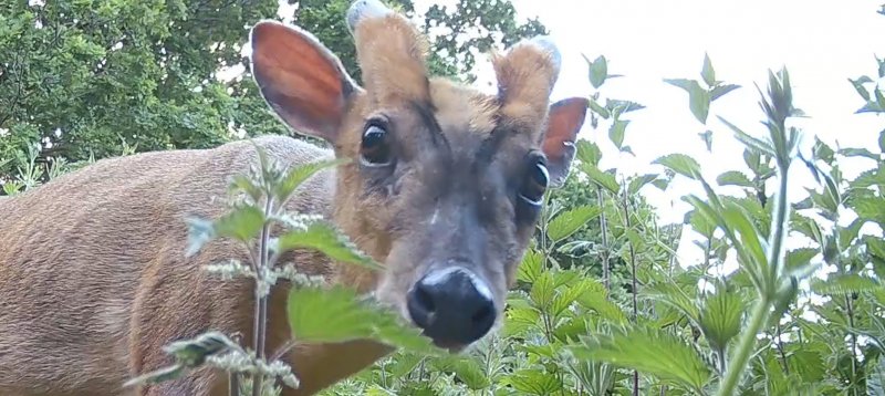 What you looking at.jpg