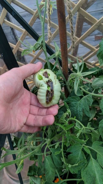 WhatsApp Image 2018-07-04 at 8.50.50 PM.jpeg