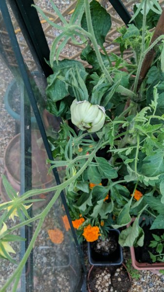 WhatsApp Image 2018-07-04 at 8.50.51 PM (1).jpeg