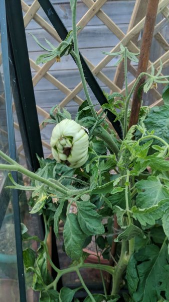 WhatsApp Image 2018-07-04 at 8.50.51 PM.jpeg