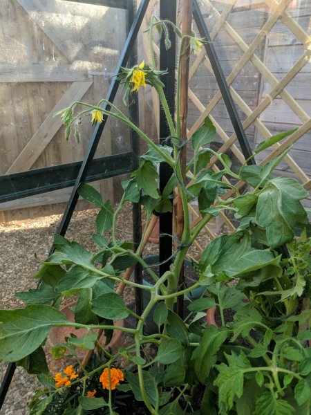 WhatsApp Image 2018-07-04 at 8.58.27 PM (1).jpeg