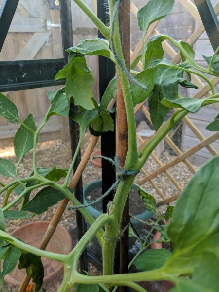 WhatsApp Image 2018-07-04 at 8.58.27 PM (2).jpeg