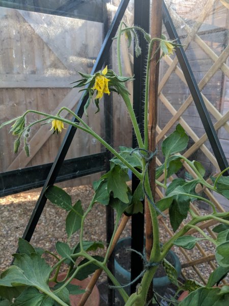 WhatsApp Image 2018-07-04 at 8.58.27 PM.jpeg