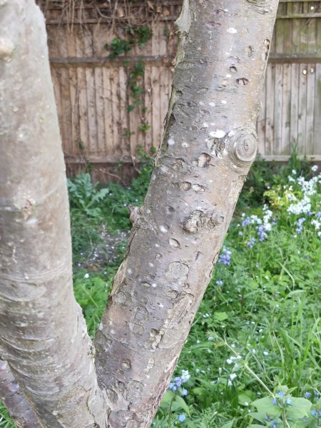 WhatsApp Image 2019-04-19 at 18.12.15.jpeg