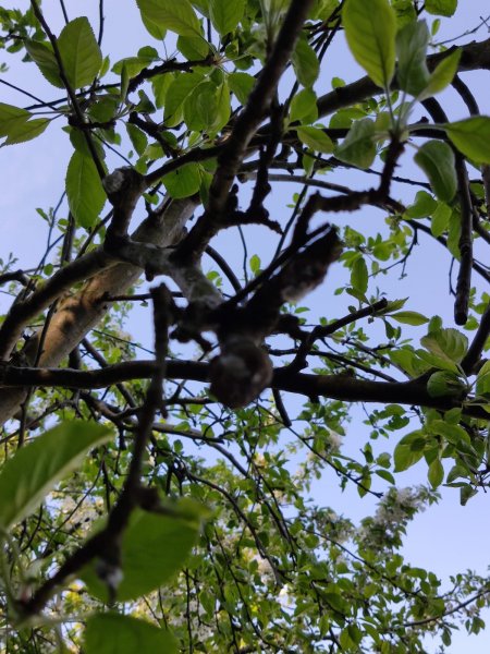 WhatsApp Image 2019-04-19 at 18.12.24.jpeg