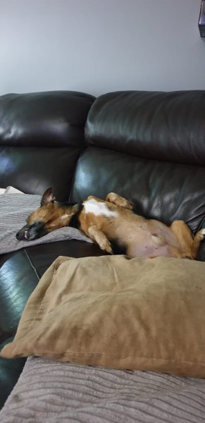 WhatsApp Image 2020-01-24 at 19.44.52.jpeg