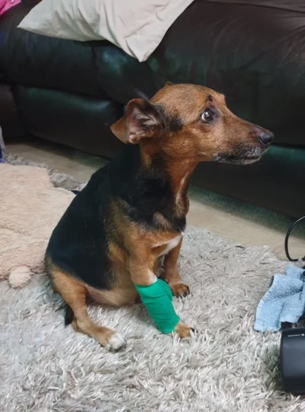 WhatsApp Image 2020-01-26 at 18.57.56.jpg