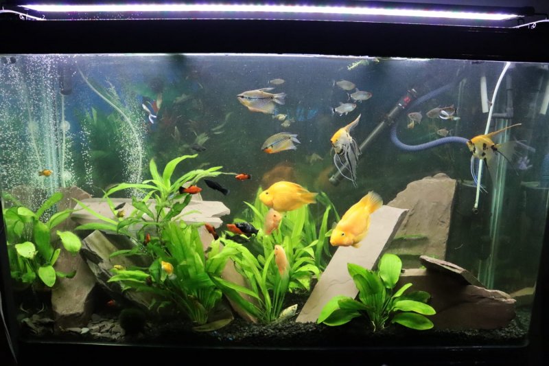 WhatsApp Image 2020-02-15 at 18.55.08.jpeg