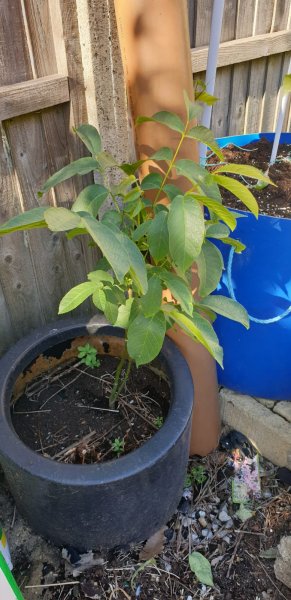 WhatsApp Image 2020-05-30 at 18.01.29 (1).jpeg