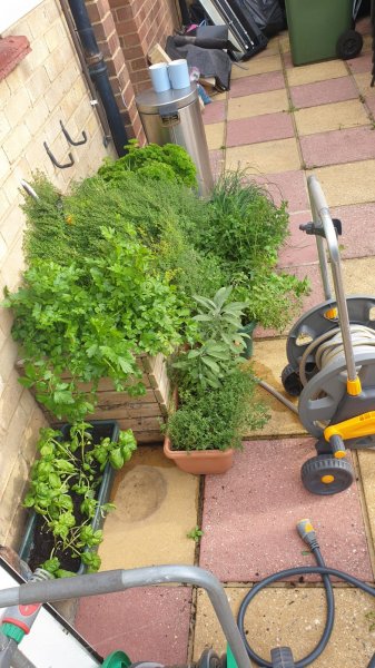 WhatsApp Image 2020-07-18 at 20.21.43.jpeg