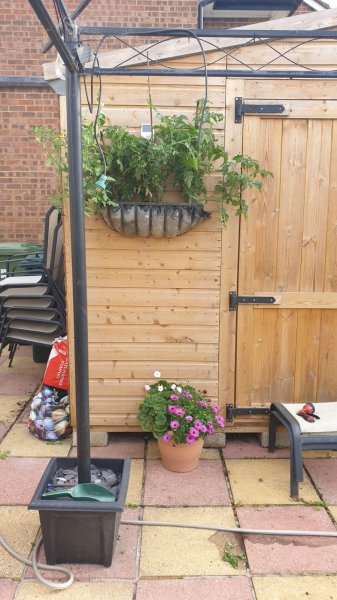 WhatsApp Image 2020-07-18 at 20.21.44 (1).jpeg